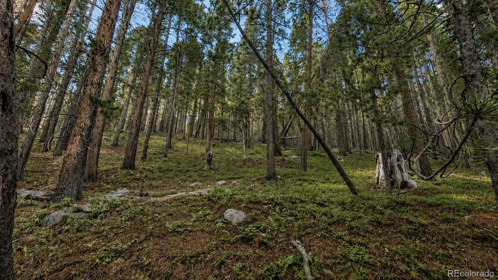 Land in Idaho Springs 4
