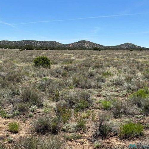 139 Blue Hills, Pie Town, NM, 87821-0000 | Card Image