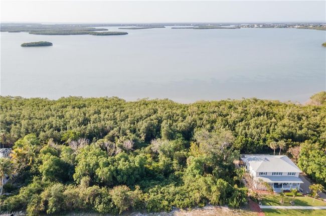Drone / aerial view with a forest view and a water view | Image 15