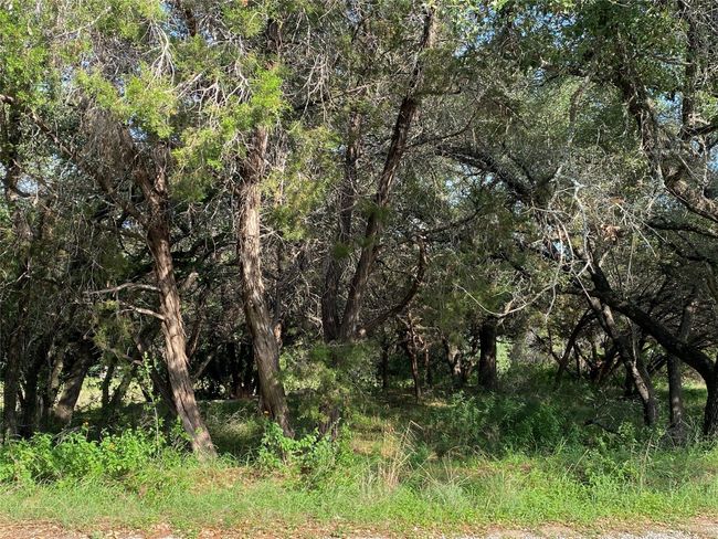 1401 Sharps Rd, Home with 0 bedrooms, 0 bathrooms and null parking in Austin TX | Image 4