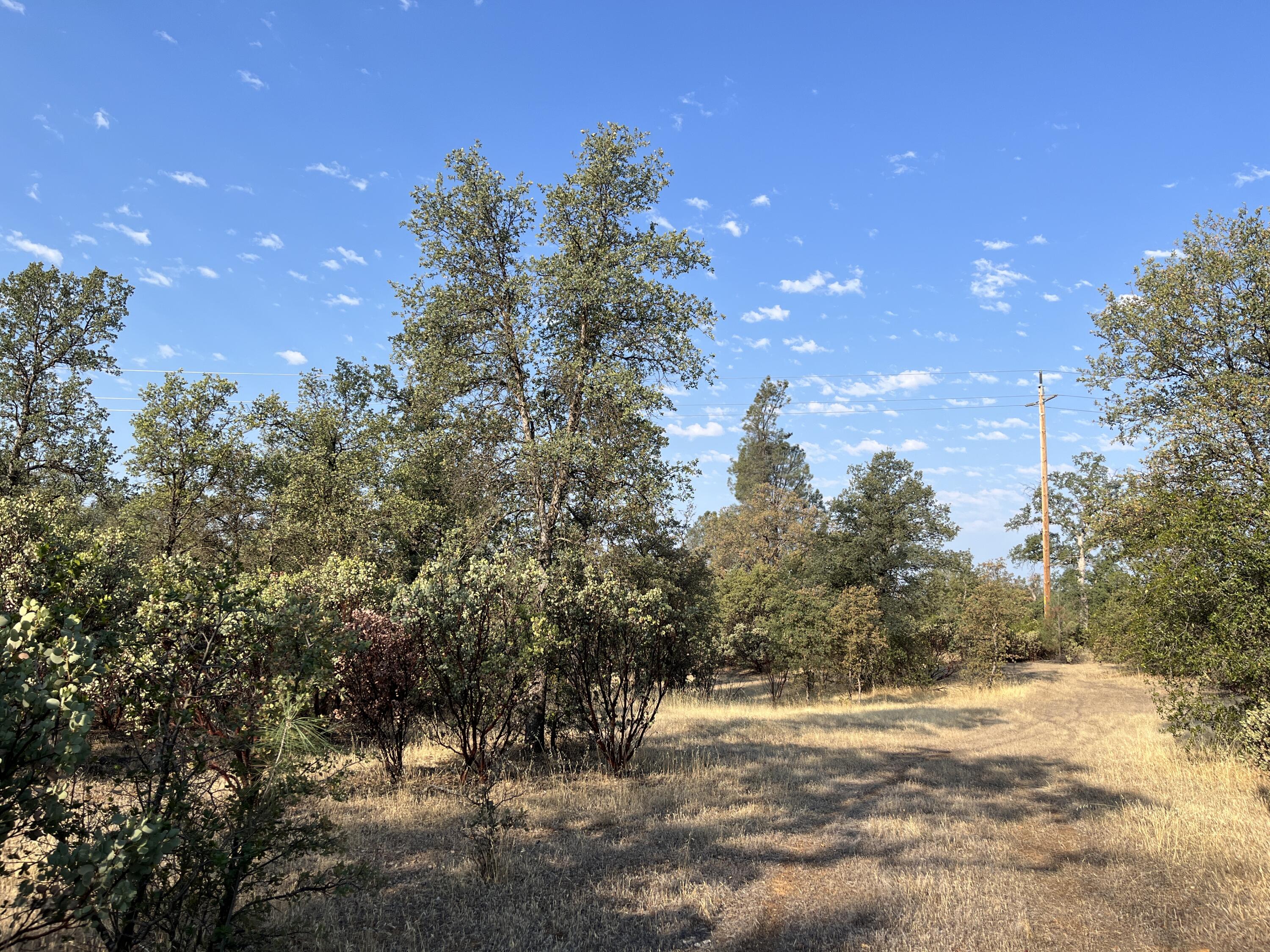 Land in Redding 3