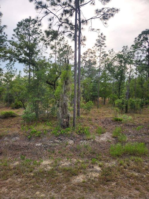 00 Se 130th Ct, DUNNELLON, FL, 34431 | Card Image