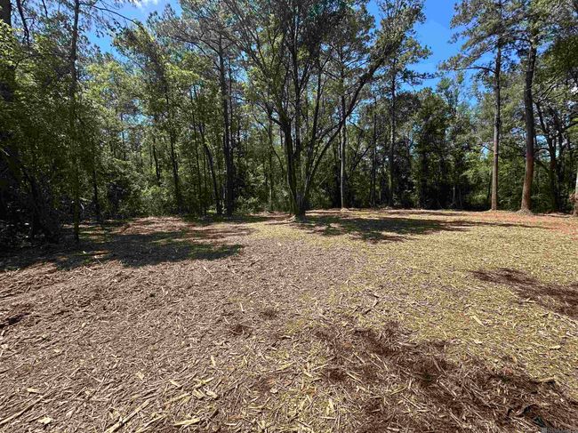 23547 Heritage Acres Ln, Home with 0 bedrooms, 0 bathrooms and null parking in Robert LA | Image 6