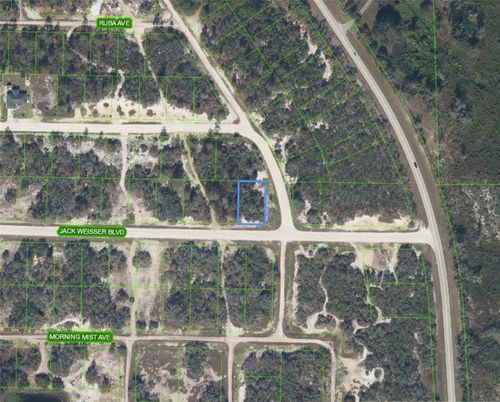 472 Jack Weisser Blvd, LAKE PLACID, FL, 33852 | Card Image