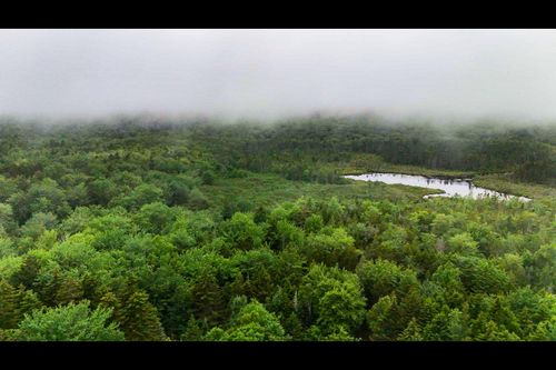 505254 Old County Road, Sedgwick, ME, 04676 | Card Image