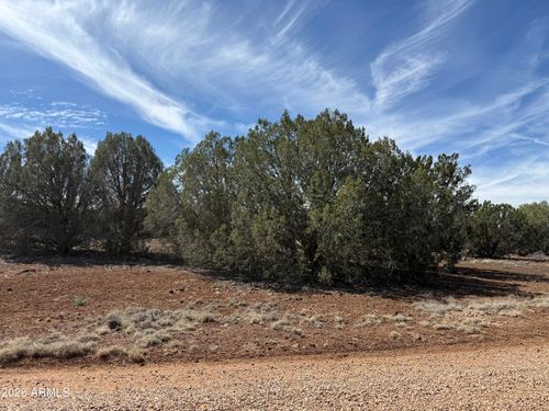 4-8389 Bear Meadow Dr, Show Low, AZ, 85901 | Card Image