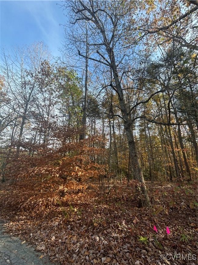 0 Broad Street Rd, Home with 0 bedrooms, 0 bathrooms and null parking in Gum Spring VA | Image 10