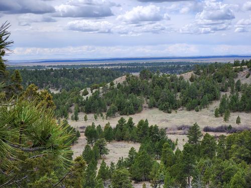 55 Two Pipe Trl, Sundance, WY, 82729-9599 | Card Image