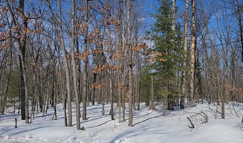 Lot 297 Nottingham Dr, Frederic, MI, 49733 | Card Image