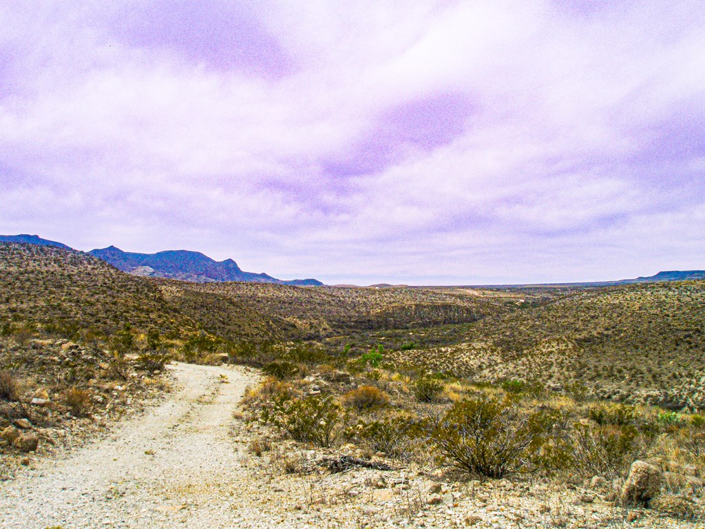 Land in Terlingua 2