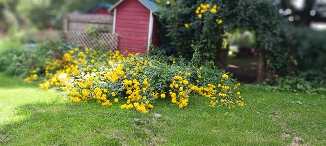 4035 S Plain Rd, House other with 3 bedrooms, 2 bathrooms and null parking in Kingston MI | Image 25