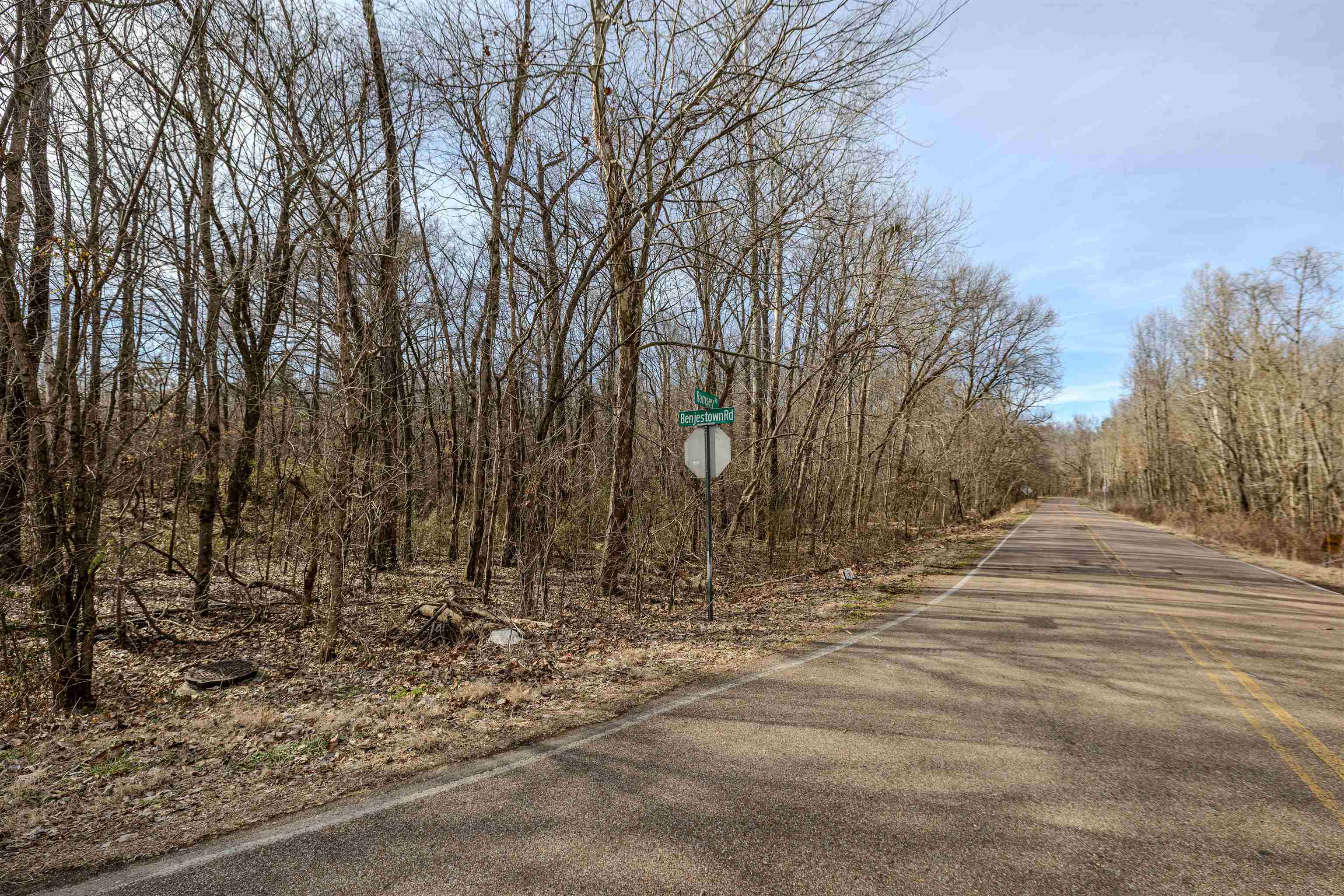 Land in Memphis 5