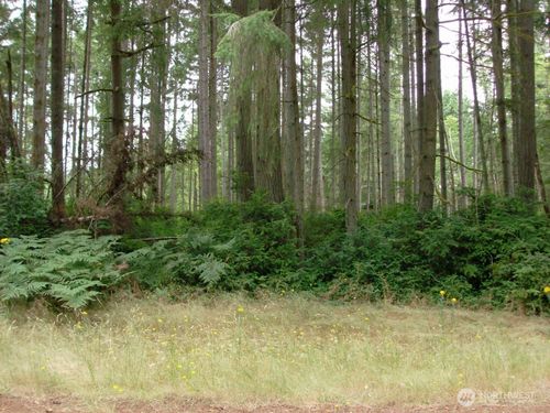 10810 Madrona Dr, Anderson Island, WA, 98303-9710 | Card Image