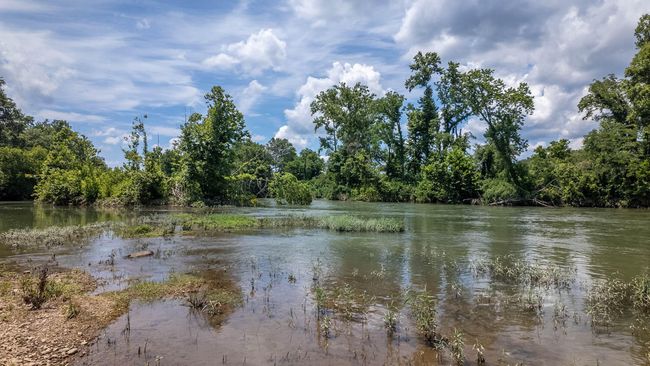 River House029 | Image 31