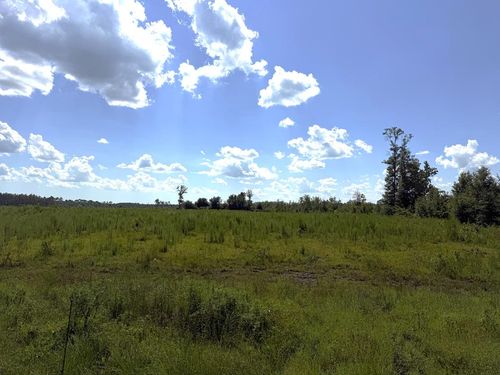 Lot 8 Hwy 71, Wewahitchka, FL, 32465 | Card Image