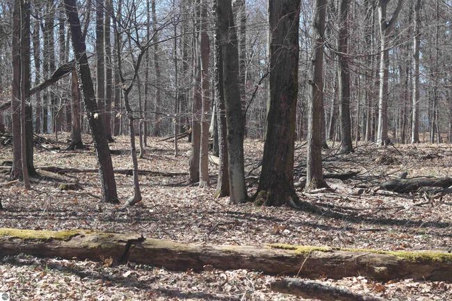 lot 4 Crystal Ridge Dr, Home with 0 bedrooms, 0 bathrooms and null parking in Beulah MI | Image 5