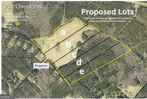 LOT B 0 Pitts Chapel Road, Monticello, GA, 31064 | Card Image