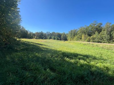 LOOKING FROM THE NORTH LOT LINE TO THE SOUTHWEST CORNER. | Image 3