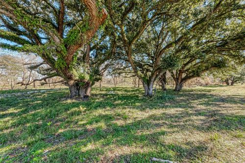 TBD 2 Dippel Road, Guy, TX, 77444 | Card Image