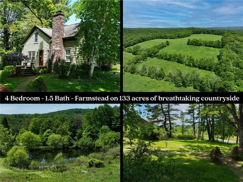 3090 County Highway 4, Butternuts, NY, 13843 | Card Image