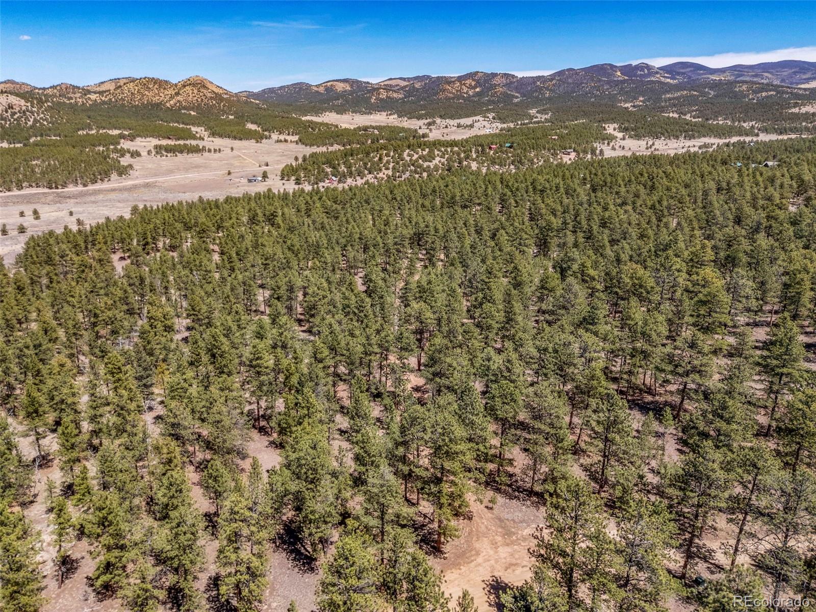 Land in Westcliffe 5