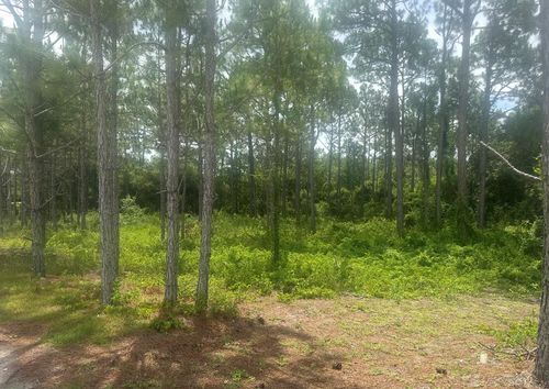 115 Plover Ct, Carrabelle, FL, 32322-8036 | Card Image