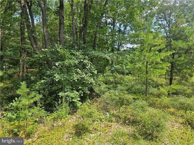 LOT-148 - Fox Lane, Home with 0 bedrooms, 0 bathrooms and null parking in Jim Thorpe PA | Image 1