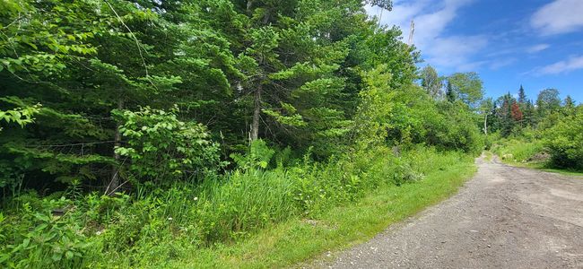 0 Thomas West Road, Home with 0 bedrooms, 0 bathrooms and null parking in Lunenburg VT | Image 10