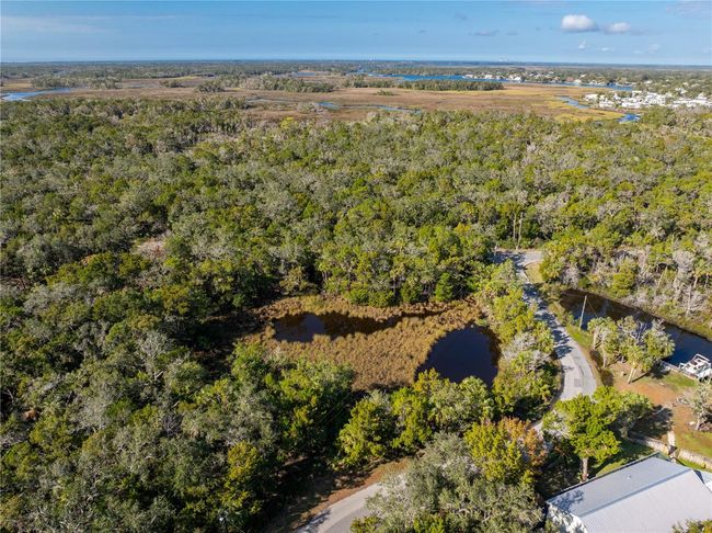 6170 S Westview Dr, Home with 0 bedrooms, 0 bathrooms and null parking in Homosassa FL | Image 8