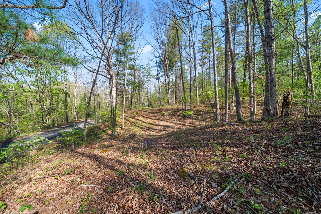 Land in Chillicothe 5