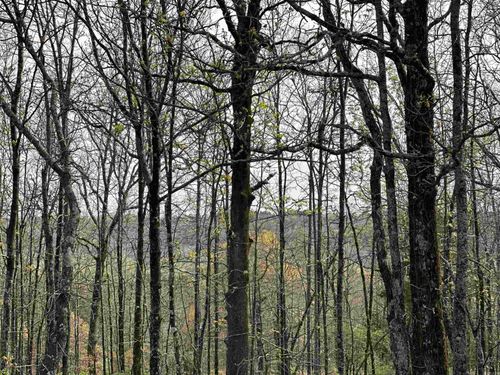 Lot 2 Kenzie Rd/Rocky Branch Estates, Beebe, AR, 72012 | Card Image