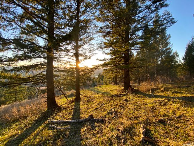 View of nature | Image 26