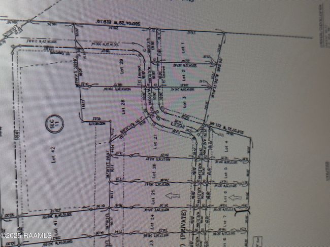Plat | Image 17