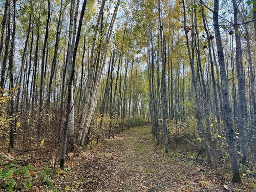 48 Deerfield Rd, Sturgeon Lake, MN, 55783 | Card Image