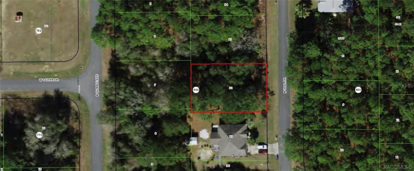 Land in Citrus Springs 4