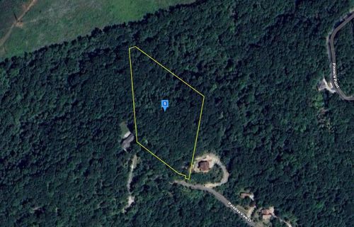 9098 Paradise View Dr, Mooresburg, TN, 37811-2691 | Card Image
