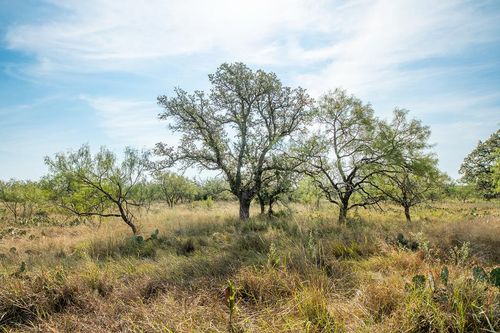 6960 Beck Ave, Brady, TX, 76825 | Card Image