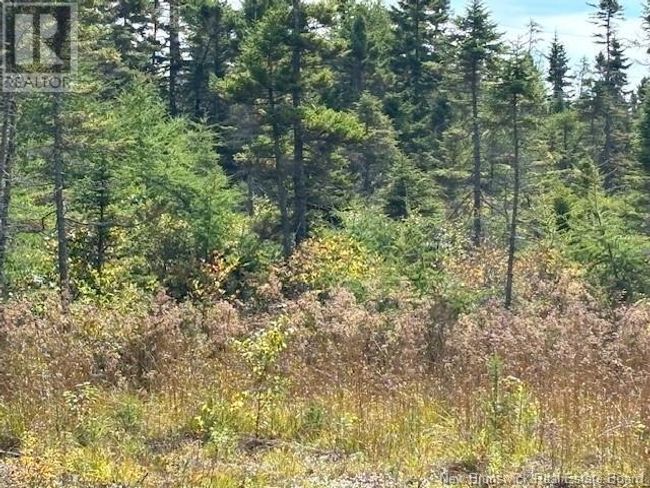 454 St Martins Rd, Home with 0 bedrooms, 0 bathrooms and null parking in Saint John NB | Image 14