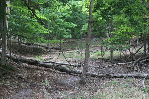Parcel B Highland Drive, Lake Township, MI, 49617 | Card Image