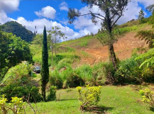 720 Palo Hincado, Barranquitas, PR, 00794 | Card Image