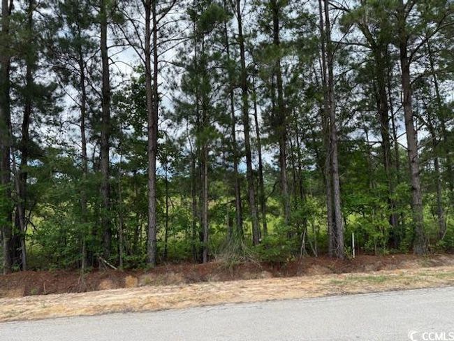 9 Rabon Rd., Home with 0 bedrooms, 0 bathrooms and null parking in Aynor SC | Image 11