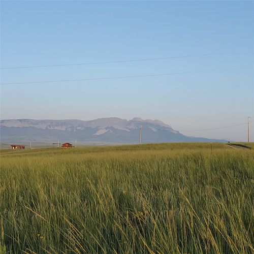 247 Prickly Pear Ln, Augusta, MT, 59410 | Card Image