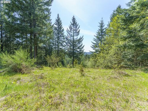 25308 Nw Mountain Dr, Banks, OR, 97106-8228 | Card Image