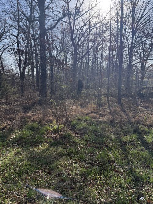 0 Cheyenne Cir, Beechgrove, TN, 37018 | Card Image