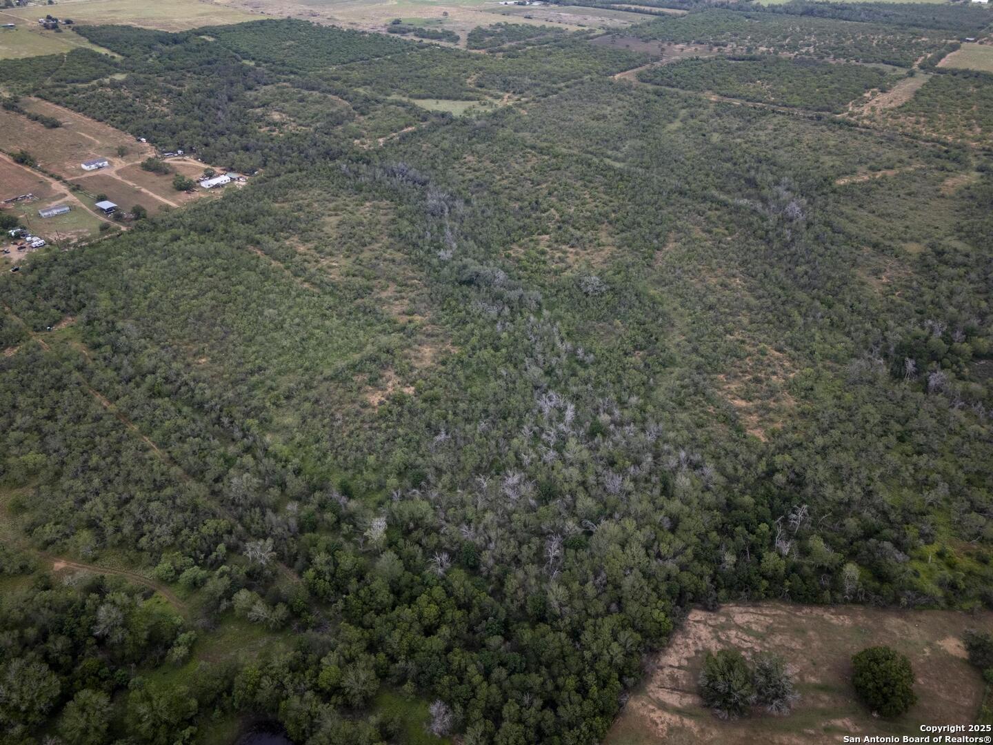 Land in Floresville