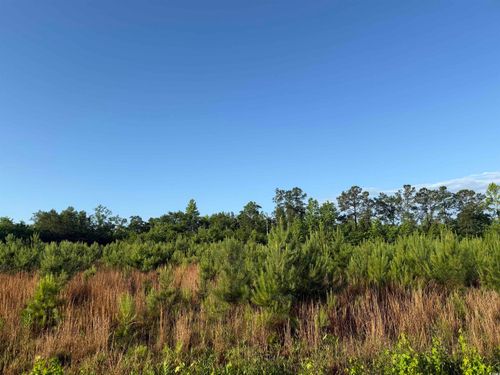 7 Old Pee Dee Rd., Hemingway, SC, 29554 | Card Image