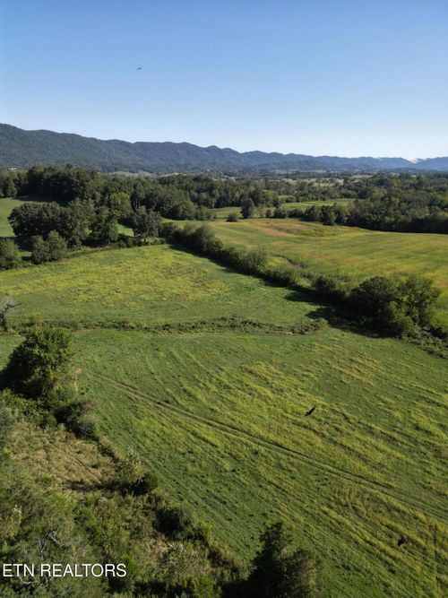 lot-3-317 Singleton Hollow Rd, Speedwell, TN, 37870-7641 | Card Image