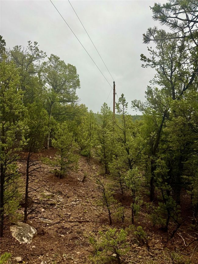 1 N Main St, Home with 0 bedrooms, 0 bathrooms and null parking in Pecos NM | Image 18