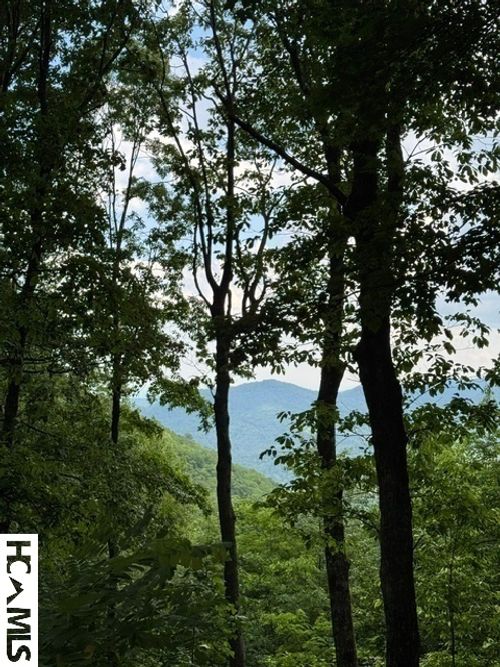 LT 2 Tower Rd, Sapphire, NC, 28774-8654 | Card Image