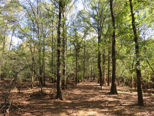 9795 S Us Highway 59, Home with 0 bedrooms, 0 bathrooms and null parking in Nacogdoches TX | Image 18